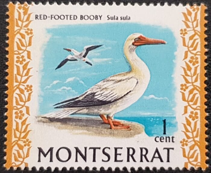 Montserrat 1970 "Birds: Red-footed Booby" SG242 1c. Mounted Mint Single Stamp