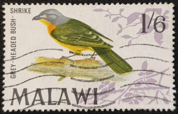 Malawi "Birds -1st Series" SG317 1s.6d. used single stamp