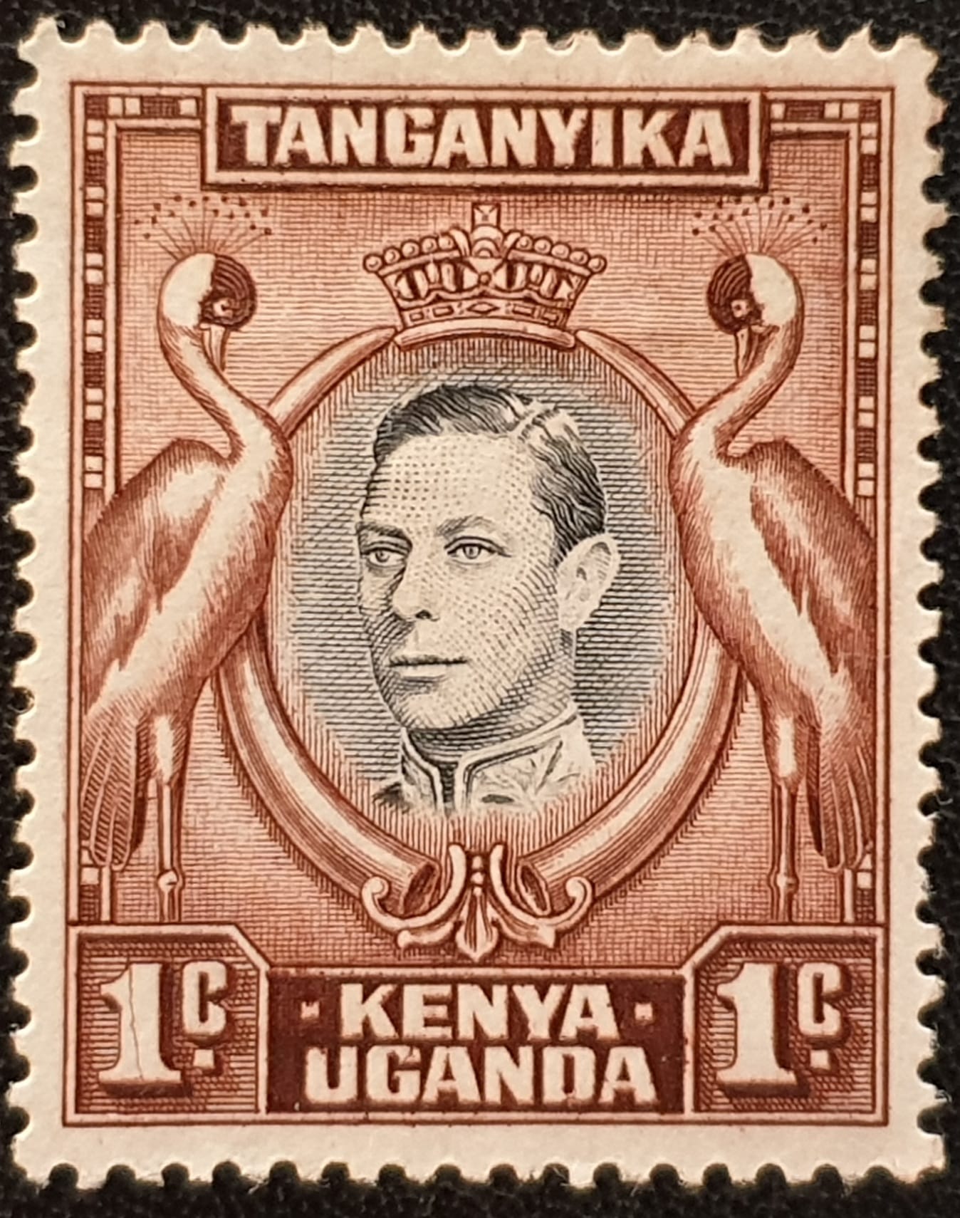Kenya, Uganda, Tanganyika 1938 SG131 1c. Unused Single Stamp