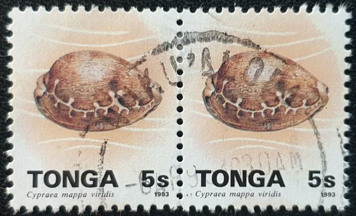 Tonga 1993 SG1220 5s. "Green Map Cowrie" used pair