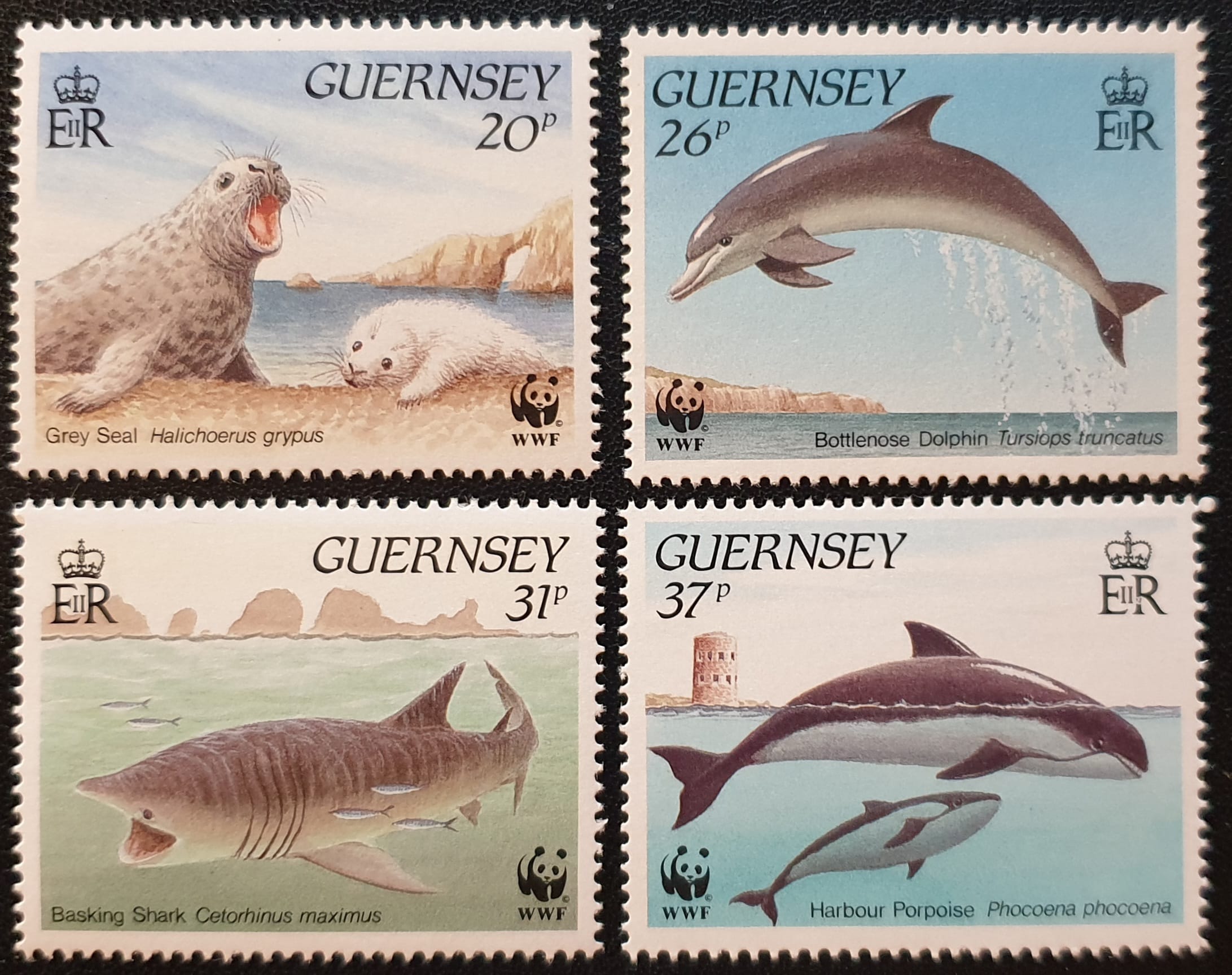 Guernsey 1990 “WWF Endangered Marine Life” SG441-444 MNH Set of 4