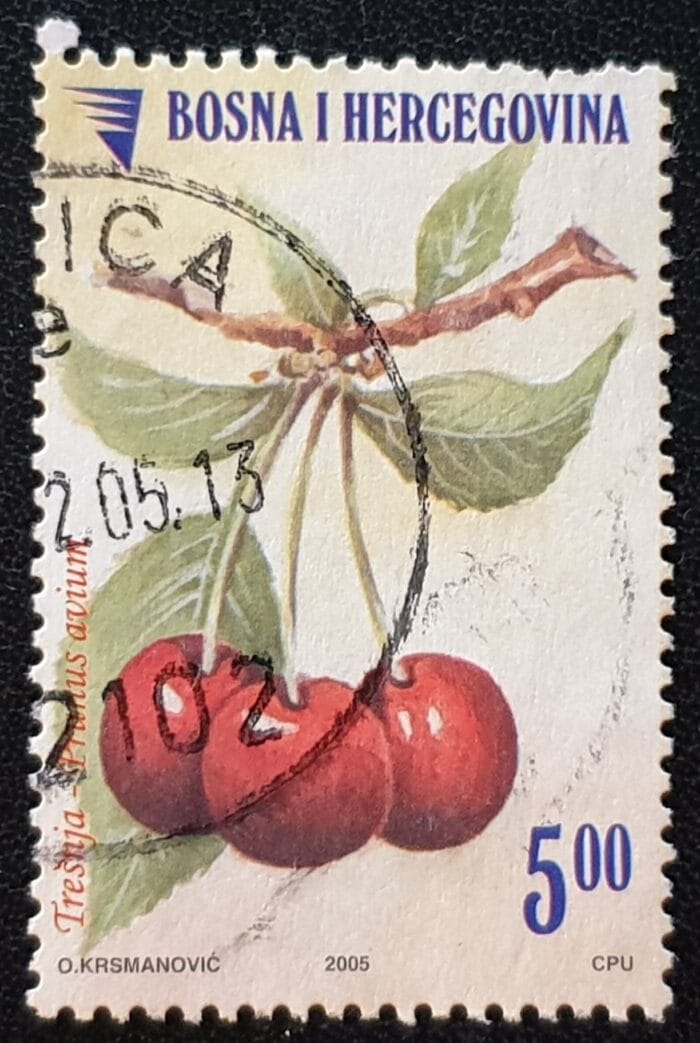 Bosnia and Herzegovina 2005 "Fruit" SG826 5m. "Cherry" used single stamp
