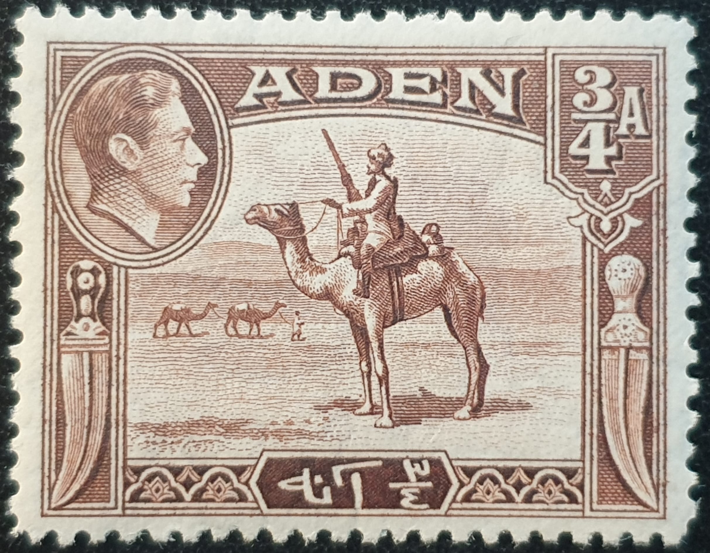 Aden 1939-48 SG17 ¾a. red-brown Wmk. Mult. Script CA. P.12½ MNH Single Stamp