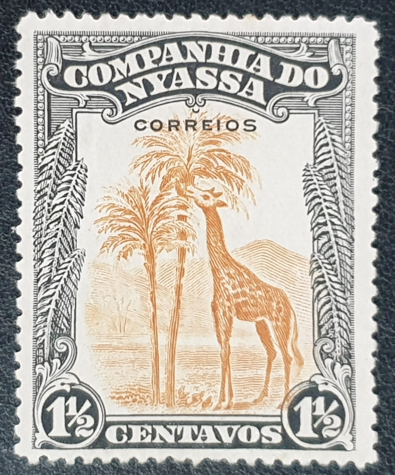 Nyassa Company (Portugal) 1921 SG99 orange/black Mounted Mint Single Stamp