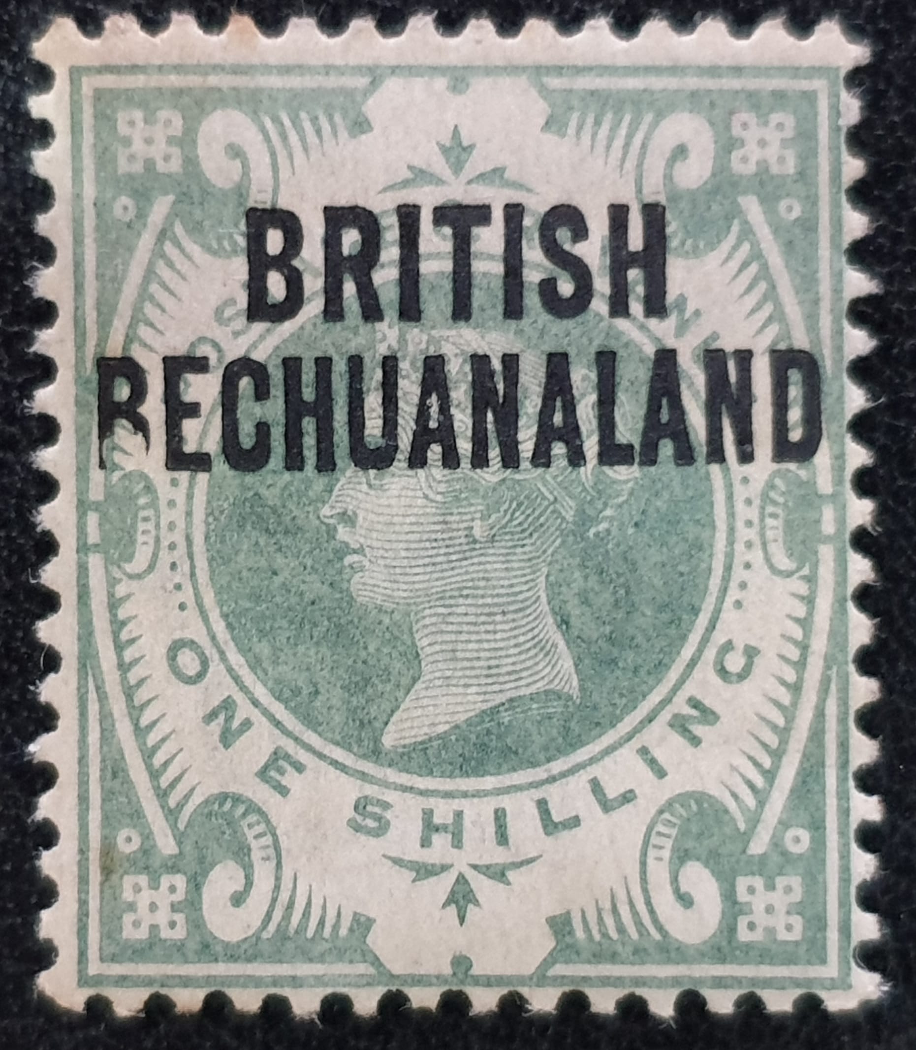 BRITISH BECHUANALAND QV SG37 1s dull green MNH Error 'B' in BECHUANALAND
