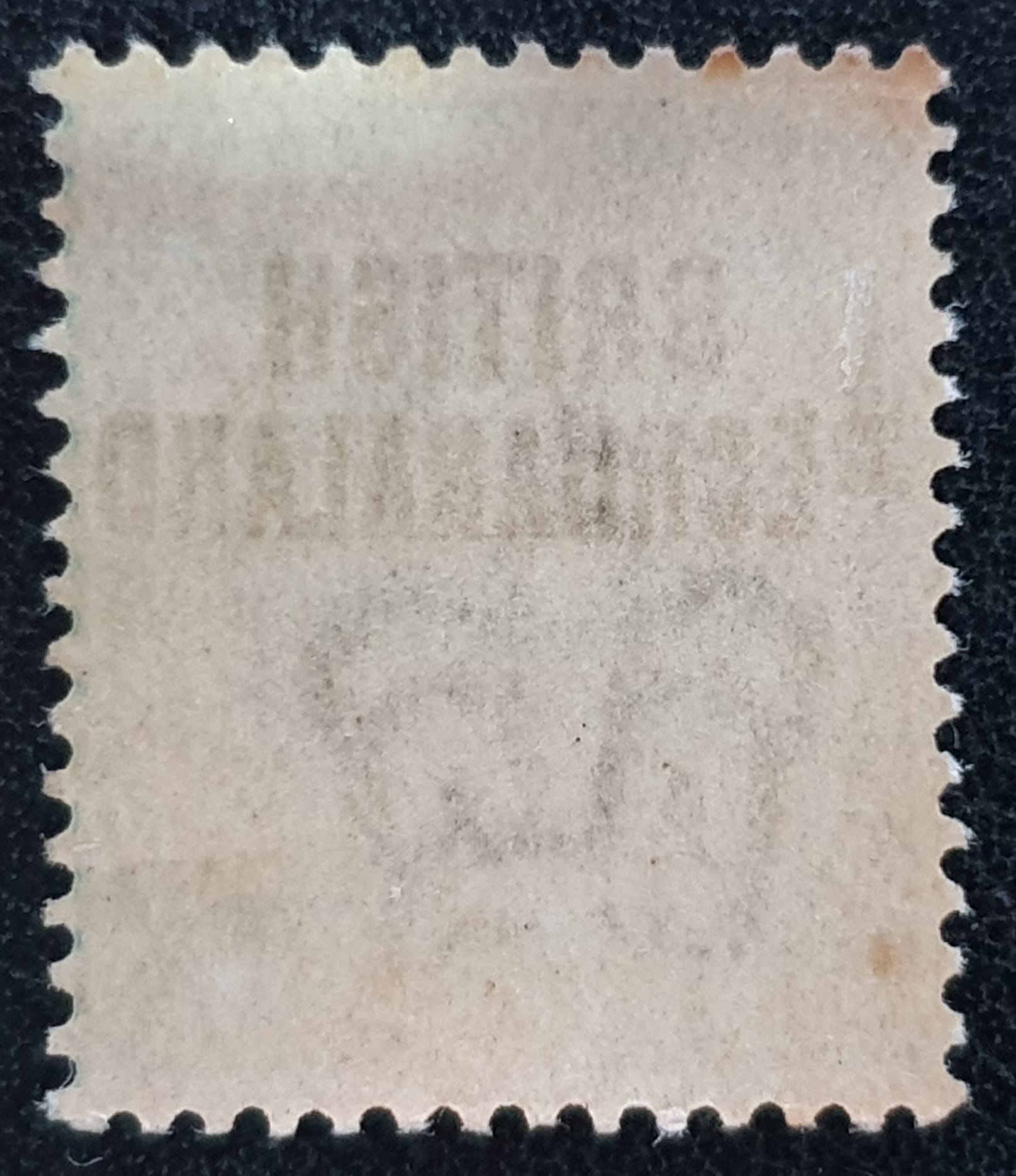 BRITISH BECHUANALAND QV SG37 1s dull green MNH Error 'B' in BECHUANALAND - Image 2