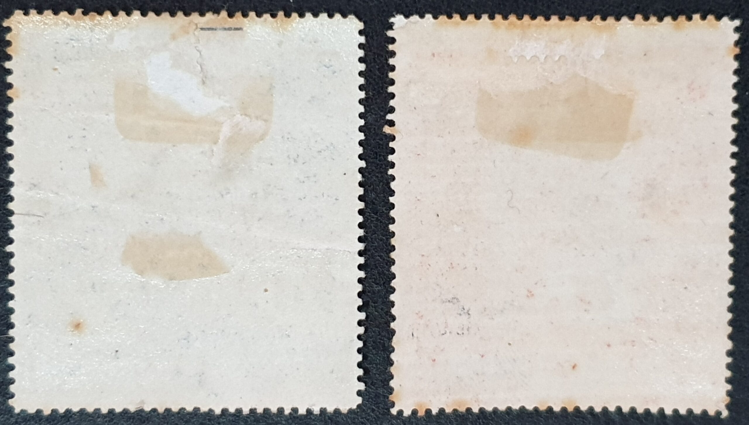 Great Britain 1897 1s-2s6d Prince of Wales Hospital Fund Unused - Image 2