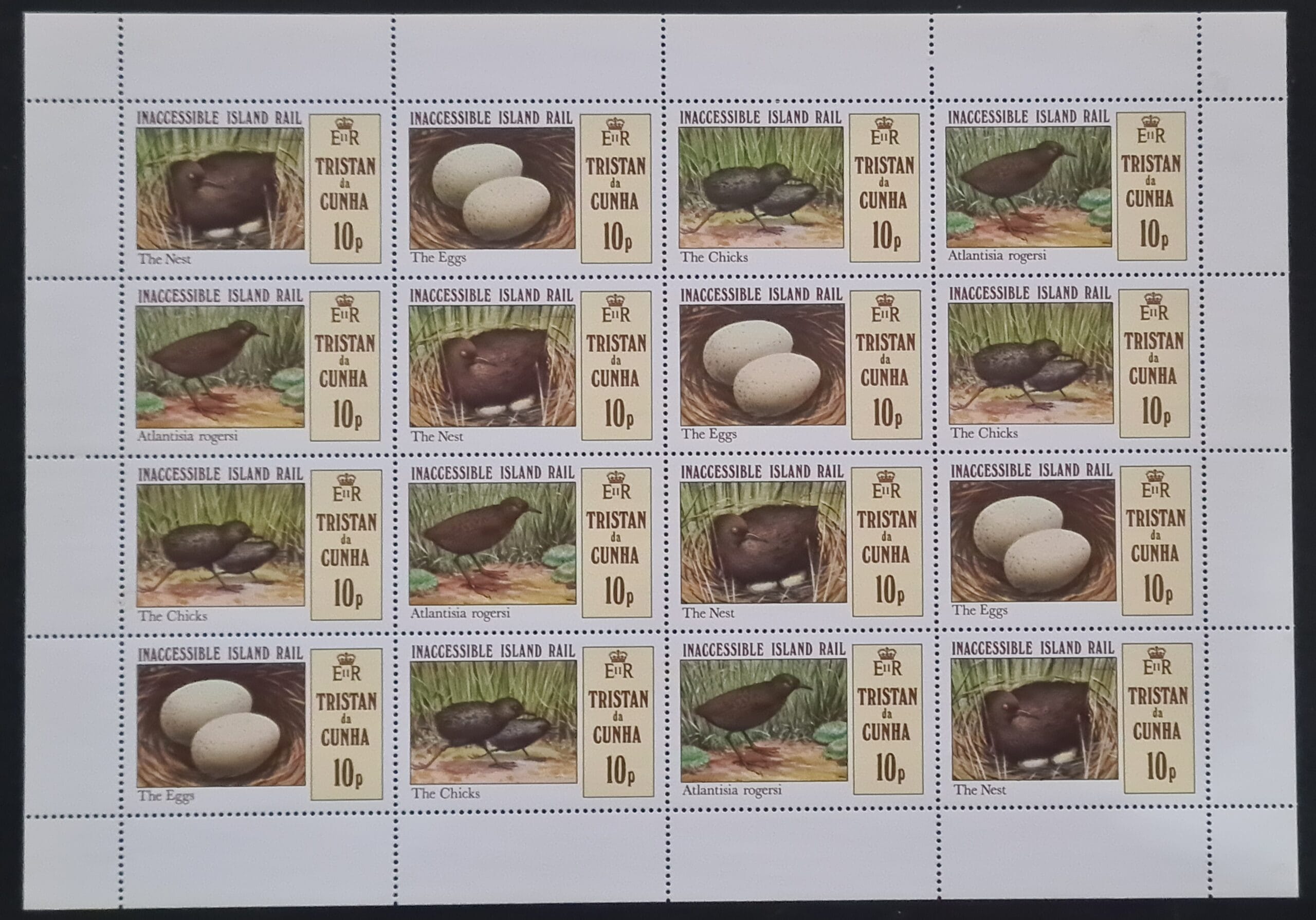Tristan Da Cunha 1981 SG315/8 Whole Sheet 'Inaccessible Island Rail' MNH