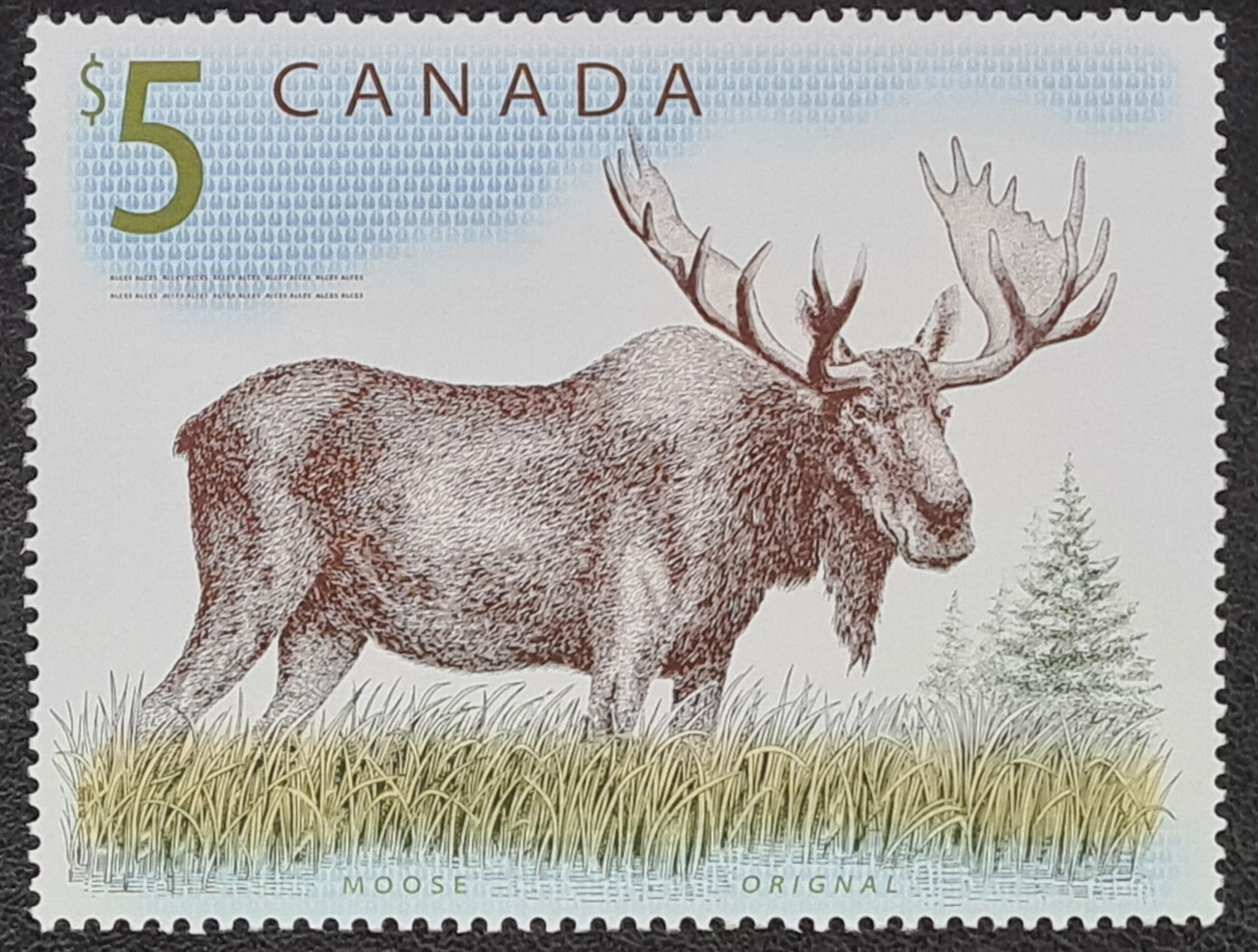 CANADA 2003 SG1762 $5 MOOSE ORIGNAL MNH