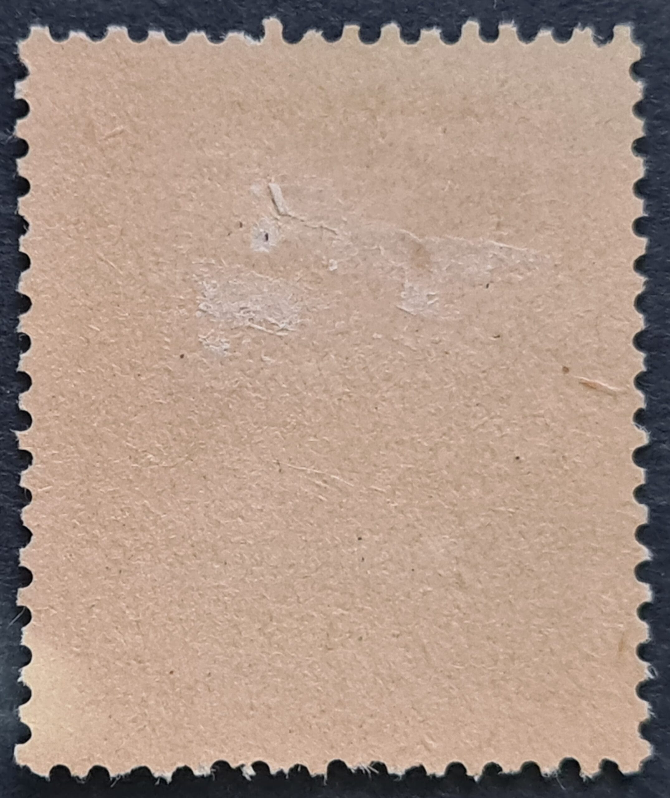 Austria 1920 'Carinthian Plebiscite' Optd. Karnten Abstimmung 80h. red Mounted Mint Single Stamp - Image 2