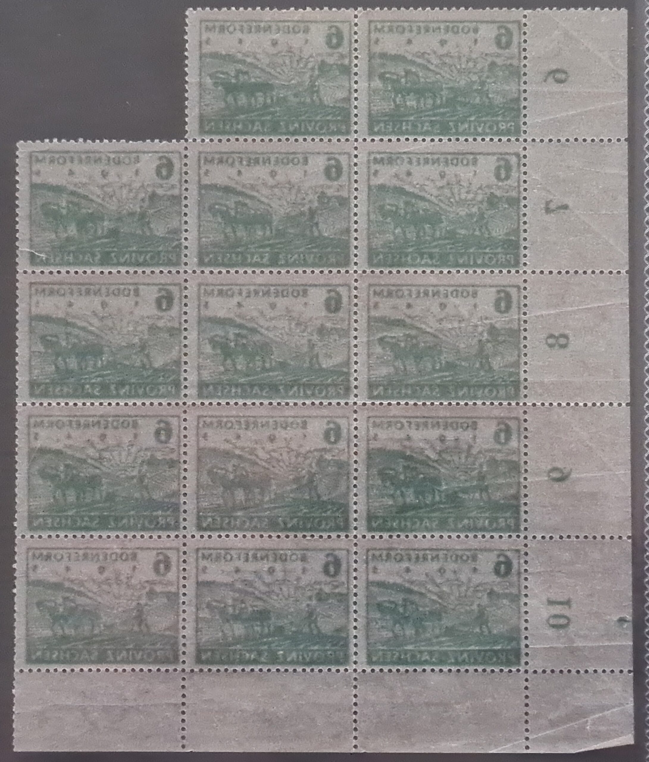 GERMANY 1945 RUSSIAN ZONE Sachsen Local issue 6pf. green Block of 14 MNH - Image 2
