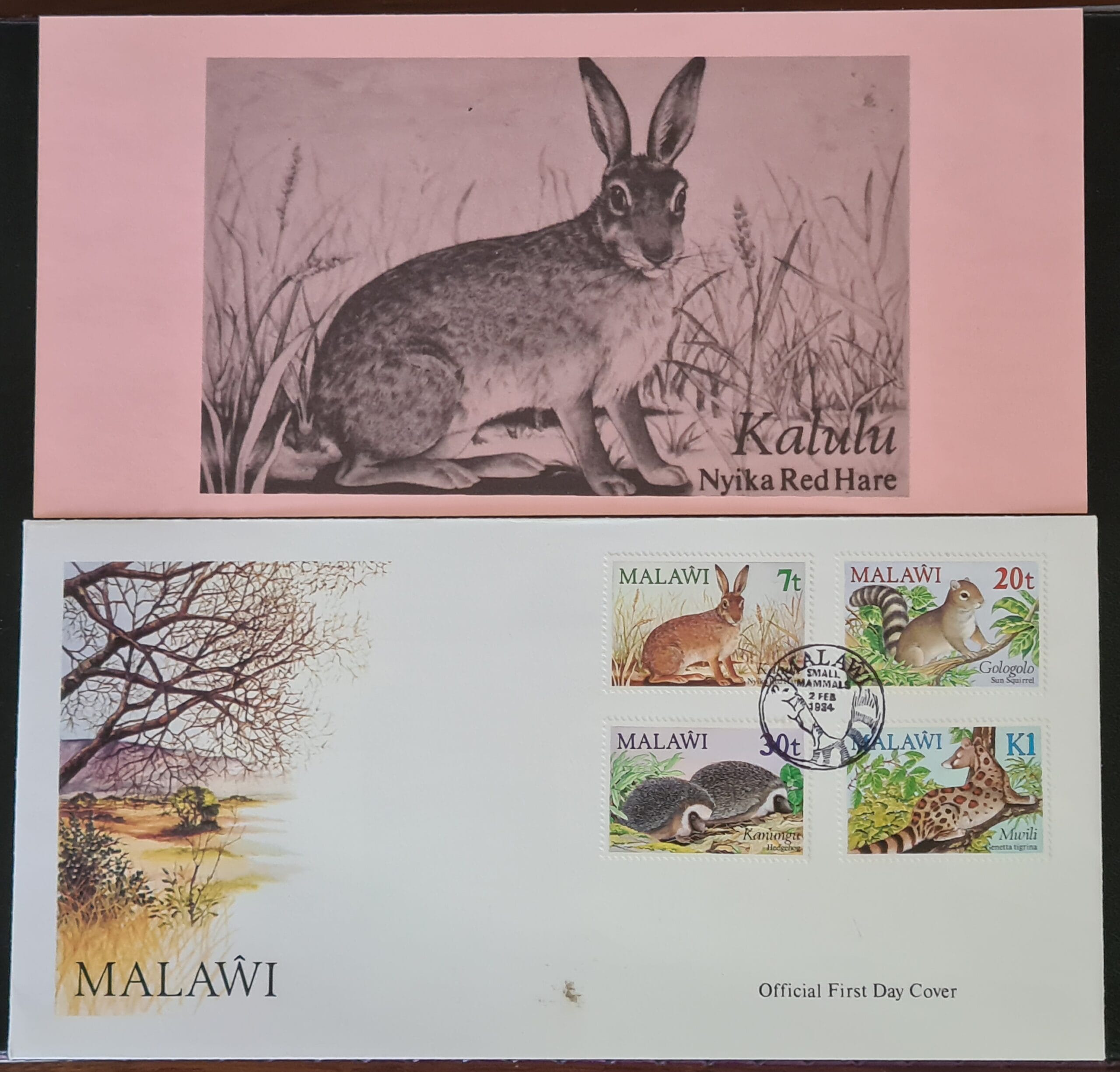 Malawi 1984 'Small Mammals' SG703/6 FDC