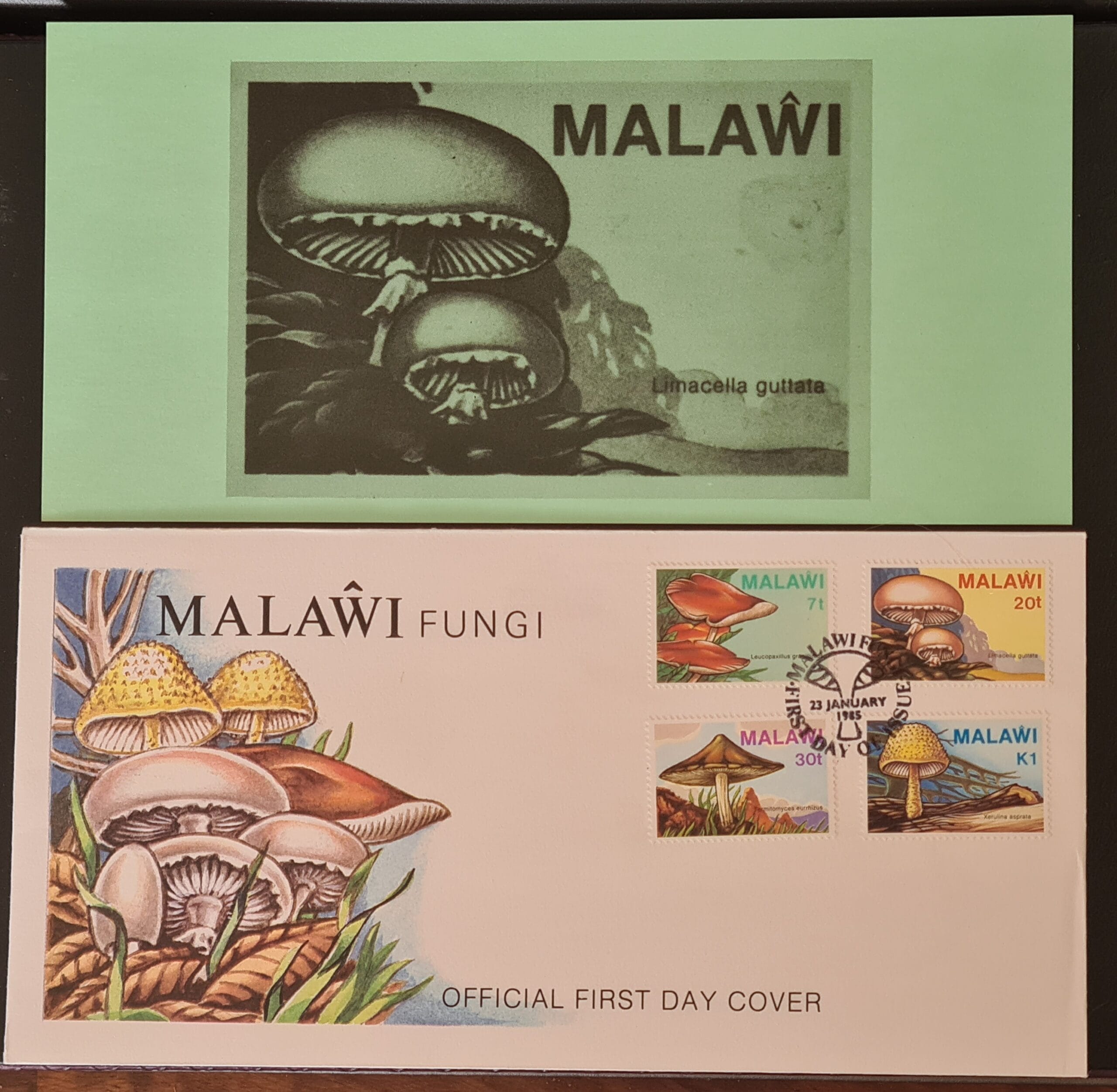 Malawi 1985 'Fungi' SG720/3 FDC 23/1/85