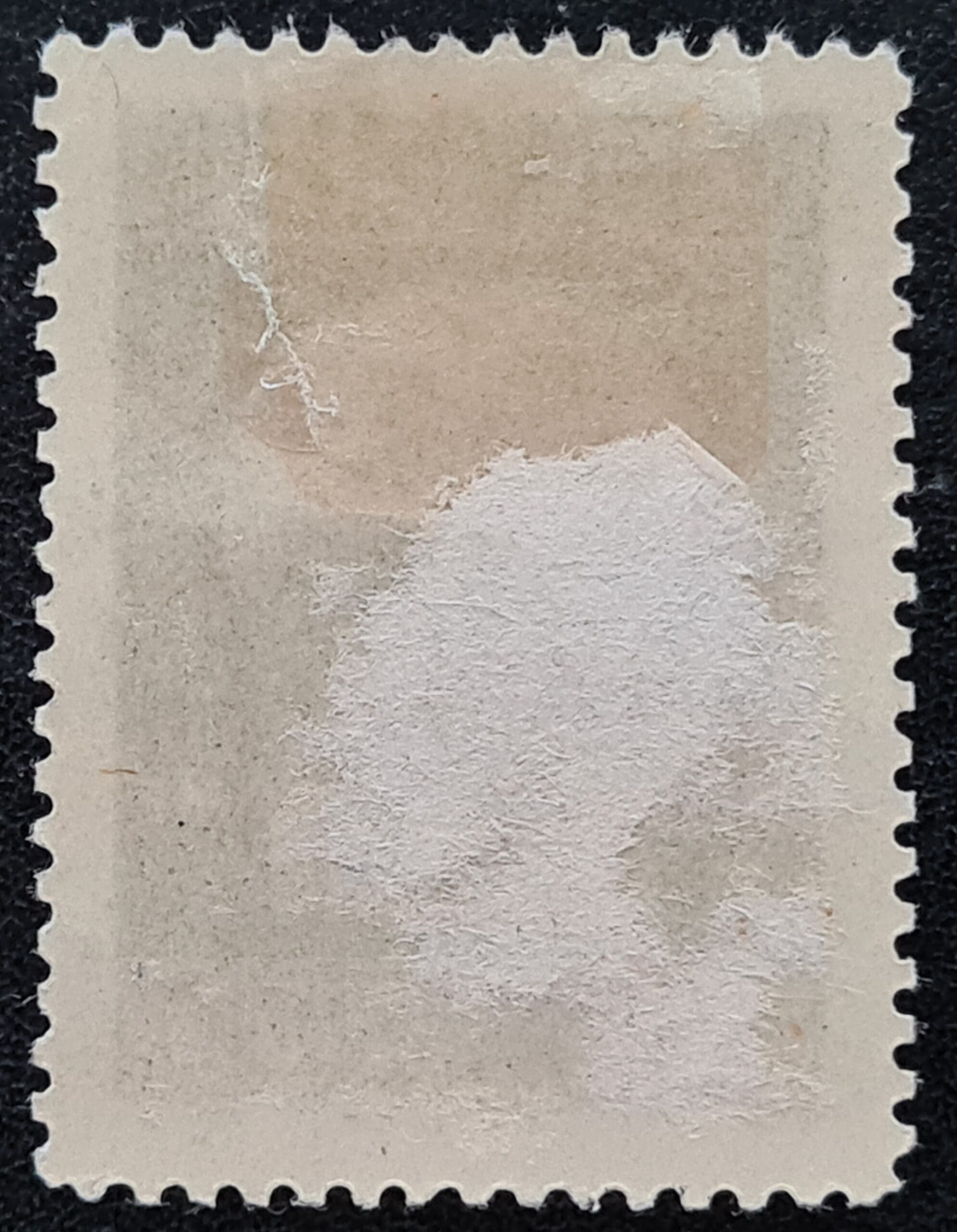 ITALY FIUME 1920 SG131 5c. green unused - Image 2
