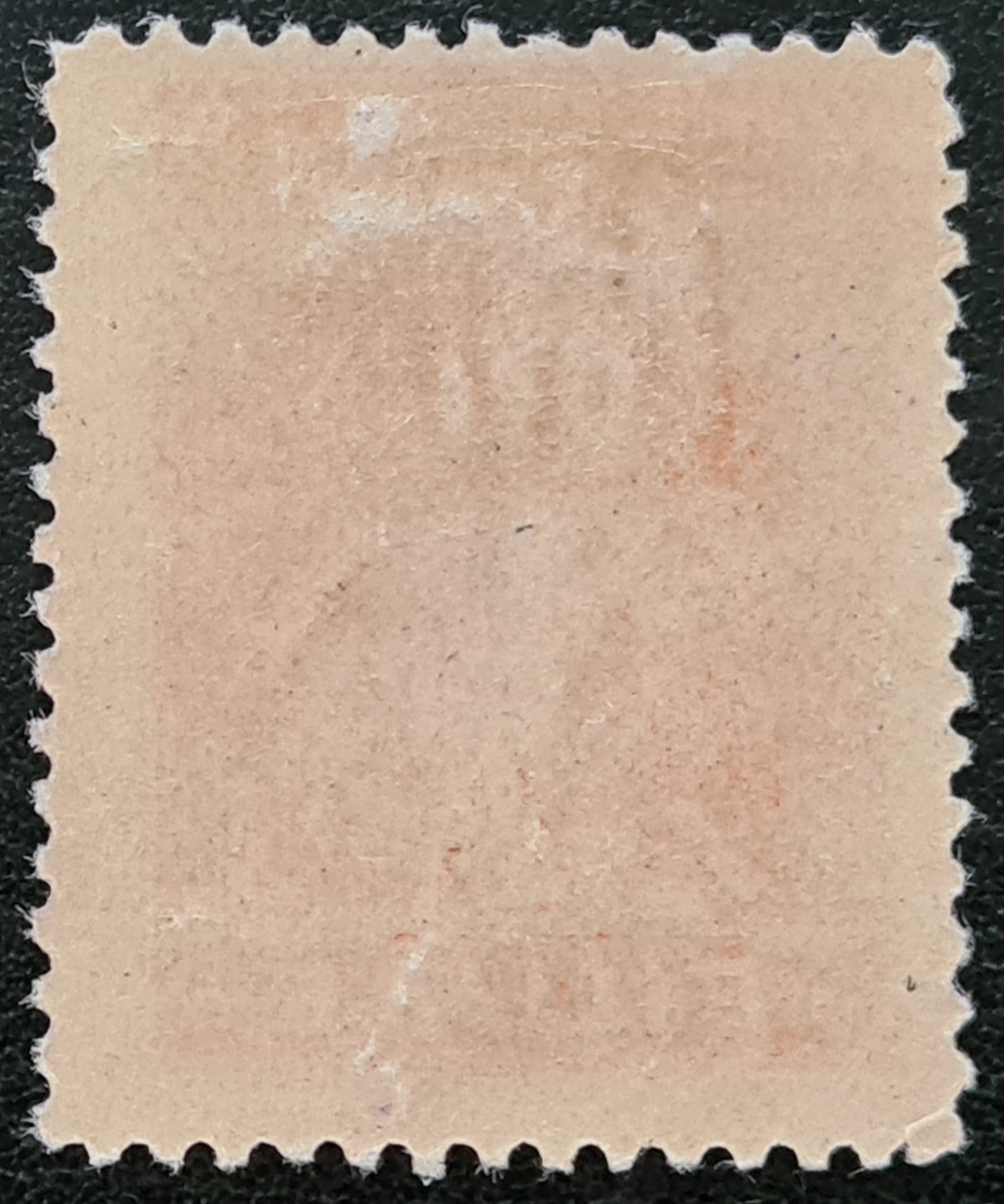 ITALY FIUME 1919 SG62 45c. orange LMM - Image 2