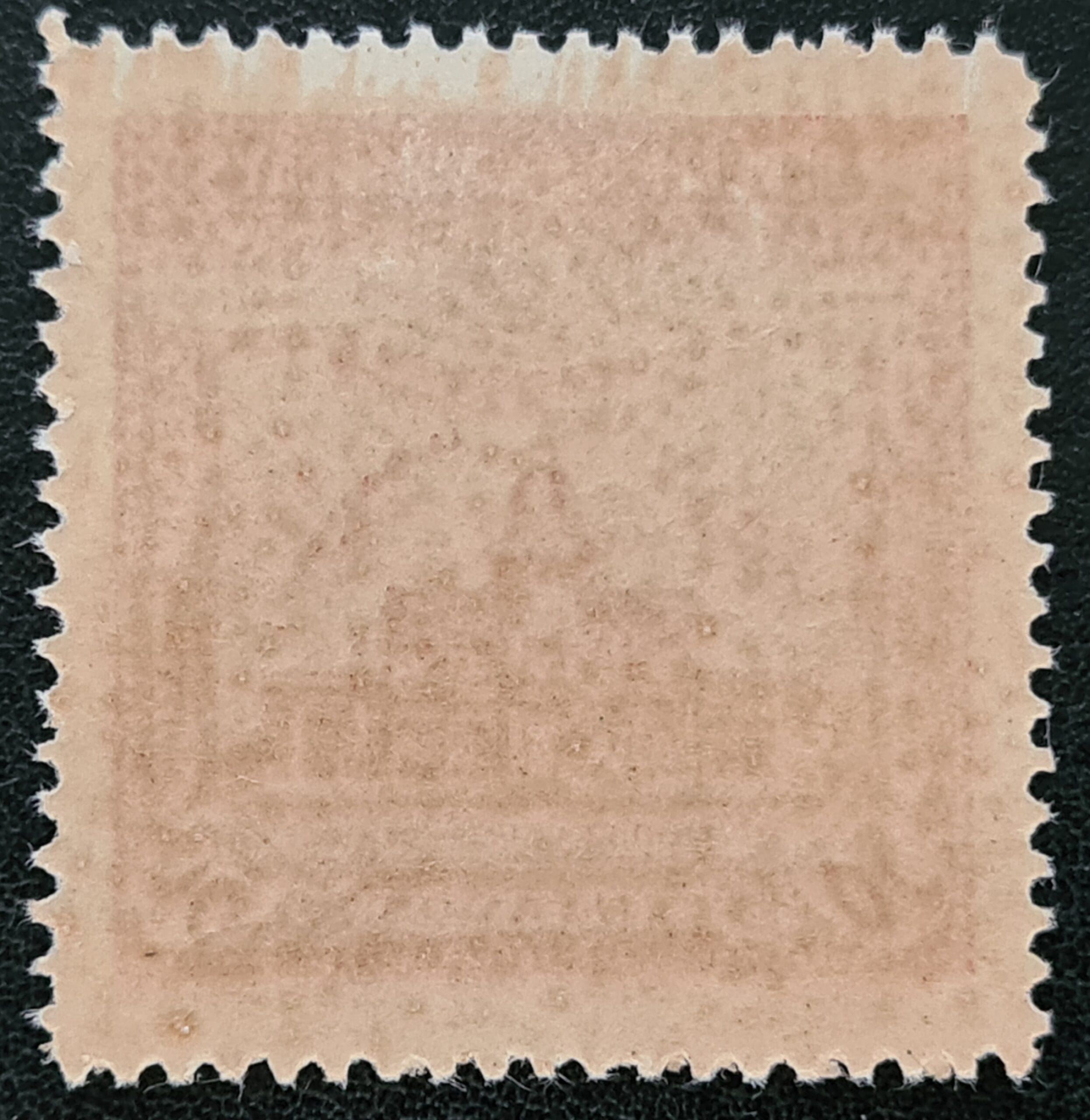 Paraguay 1932 'Red Cross Fund.' SG440 50c + 50c pink LMM - Image 2
