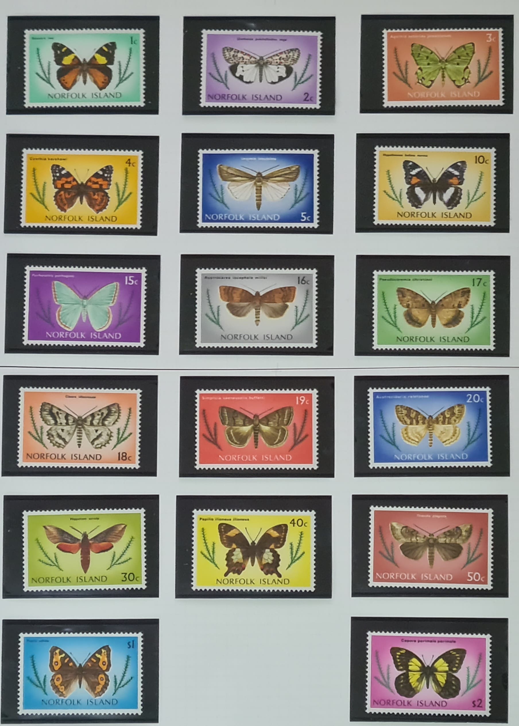NORFOLK ISLANDS 1977 'Butterflies and Moths' SG179-195 Full Set MNH