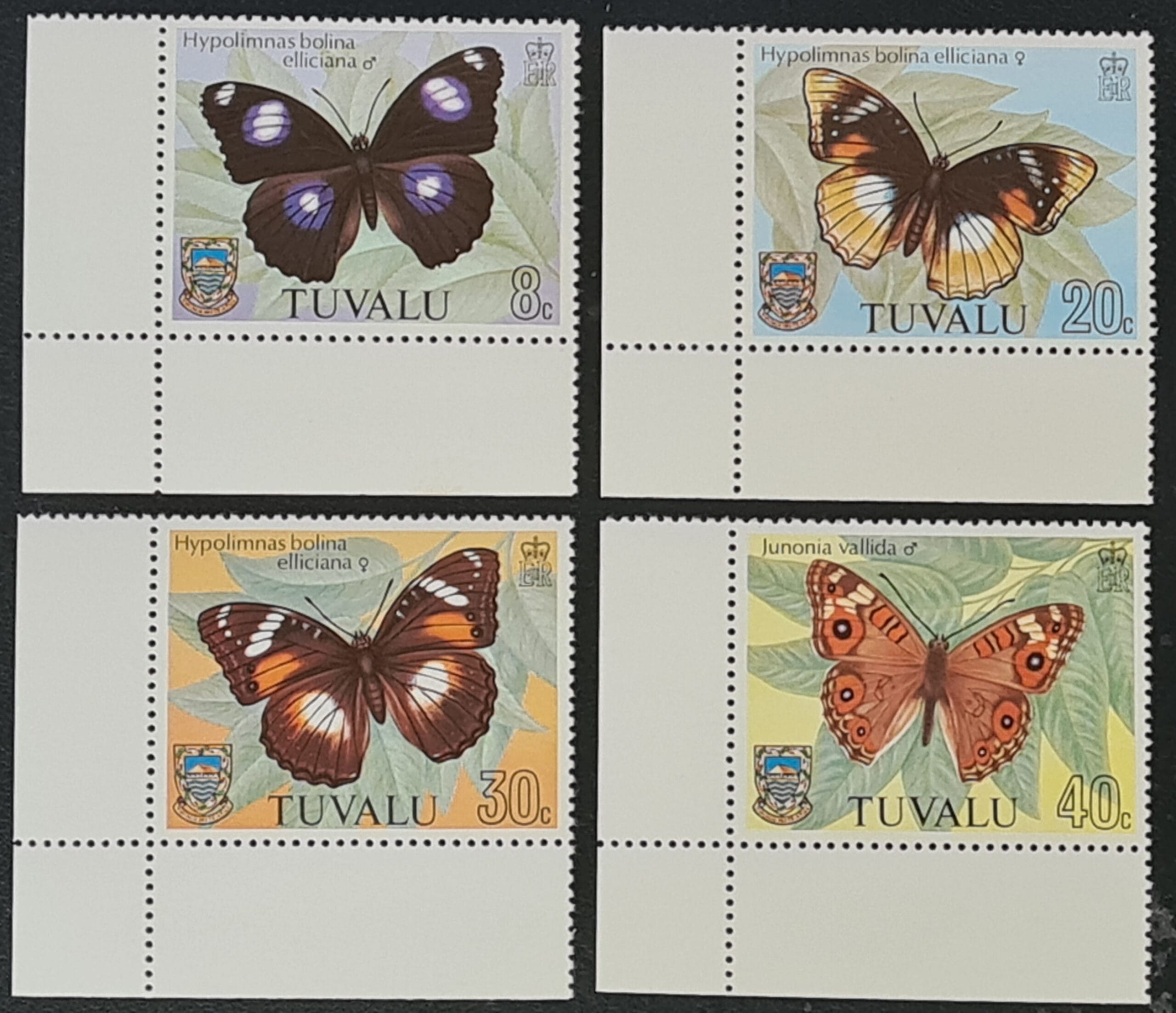 Tuvalu 1981 'Butterflies' SG158-161 Set of 4 MNH