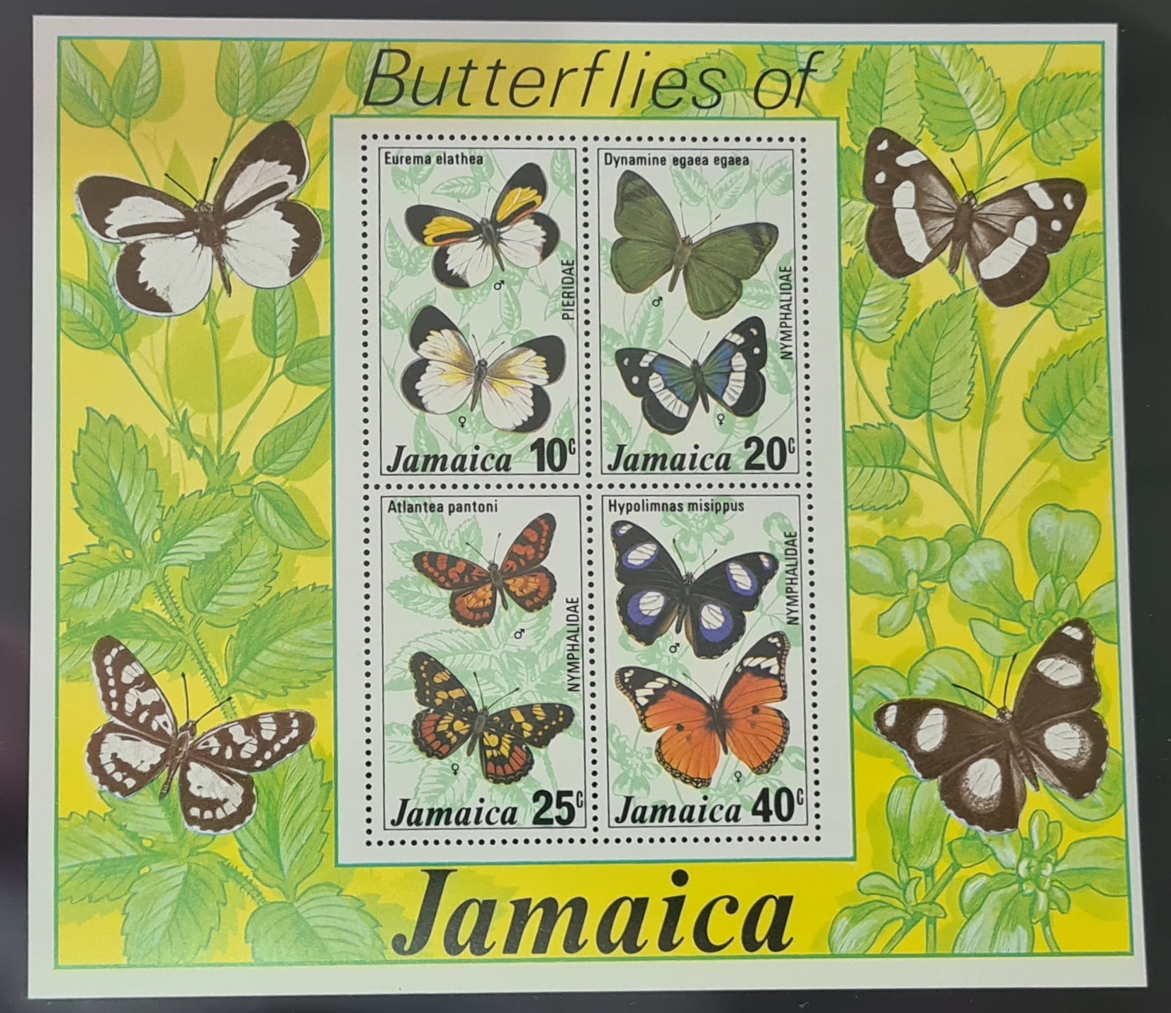 Jamaica 1977 'Butterflies (2nd series)' MS433 MNH