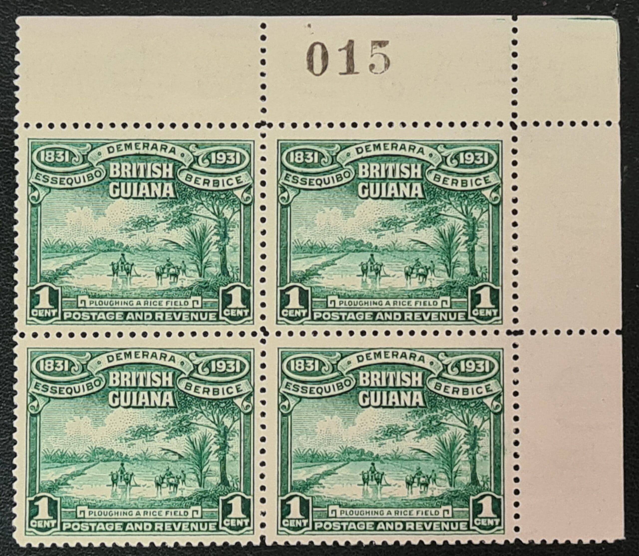 British Guiana 1931 SG283 1c. green Block of 4 MNH