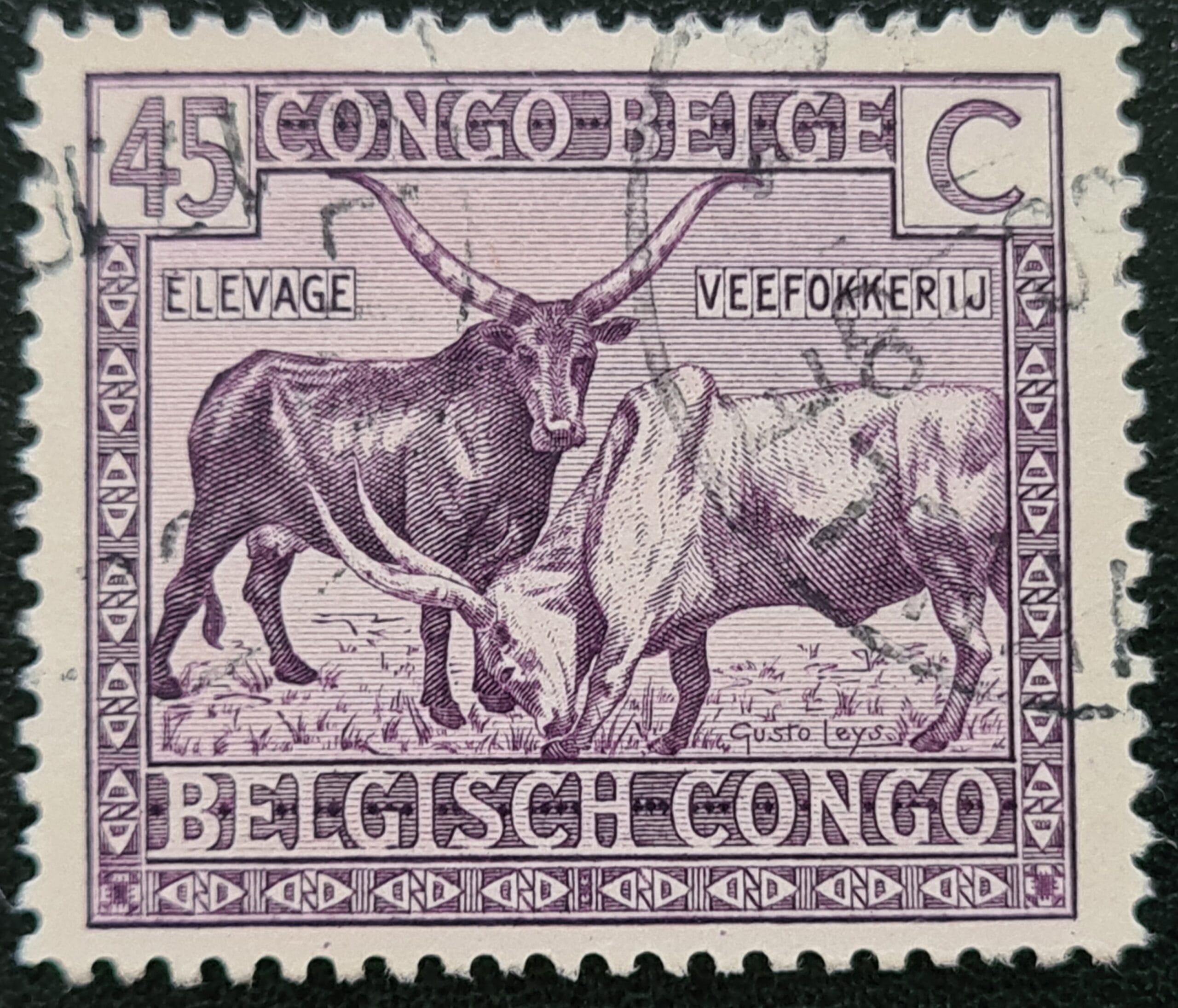 Belgian Congo 1925 SG142 45c purple used stamp