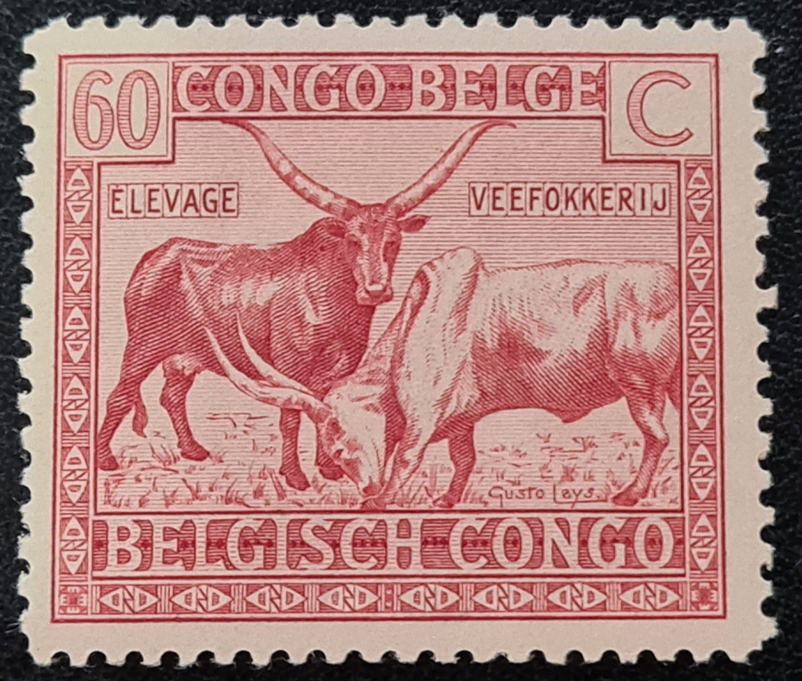Belgian Congo 1925 SG143 60c. red LMM
