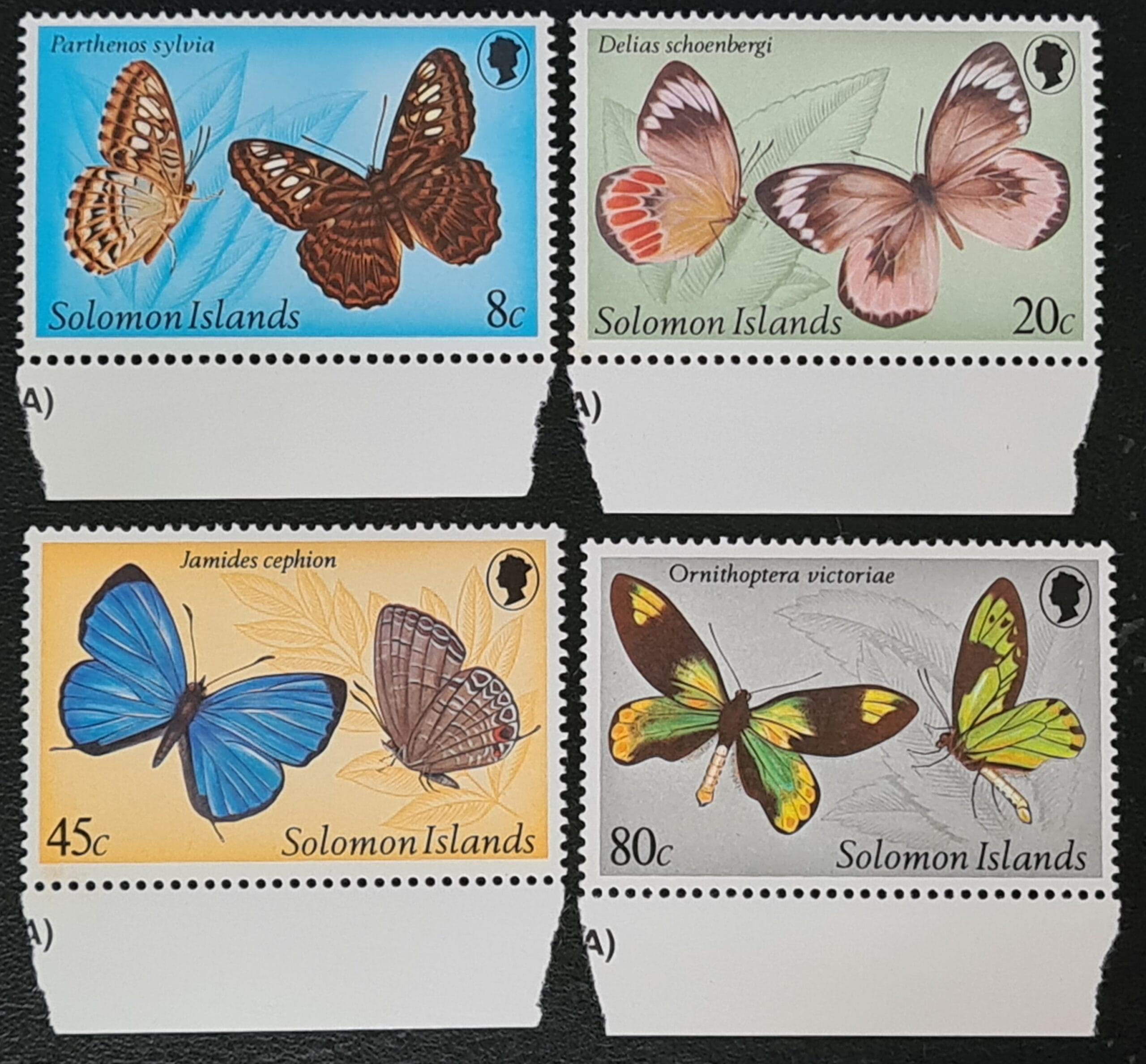 Solomon Islands 1980 'Butterflies (1st Series)' SG426-429 Set of 4 MNH