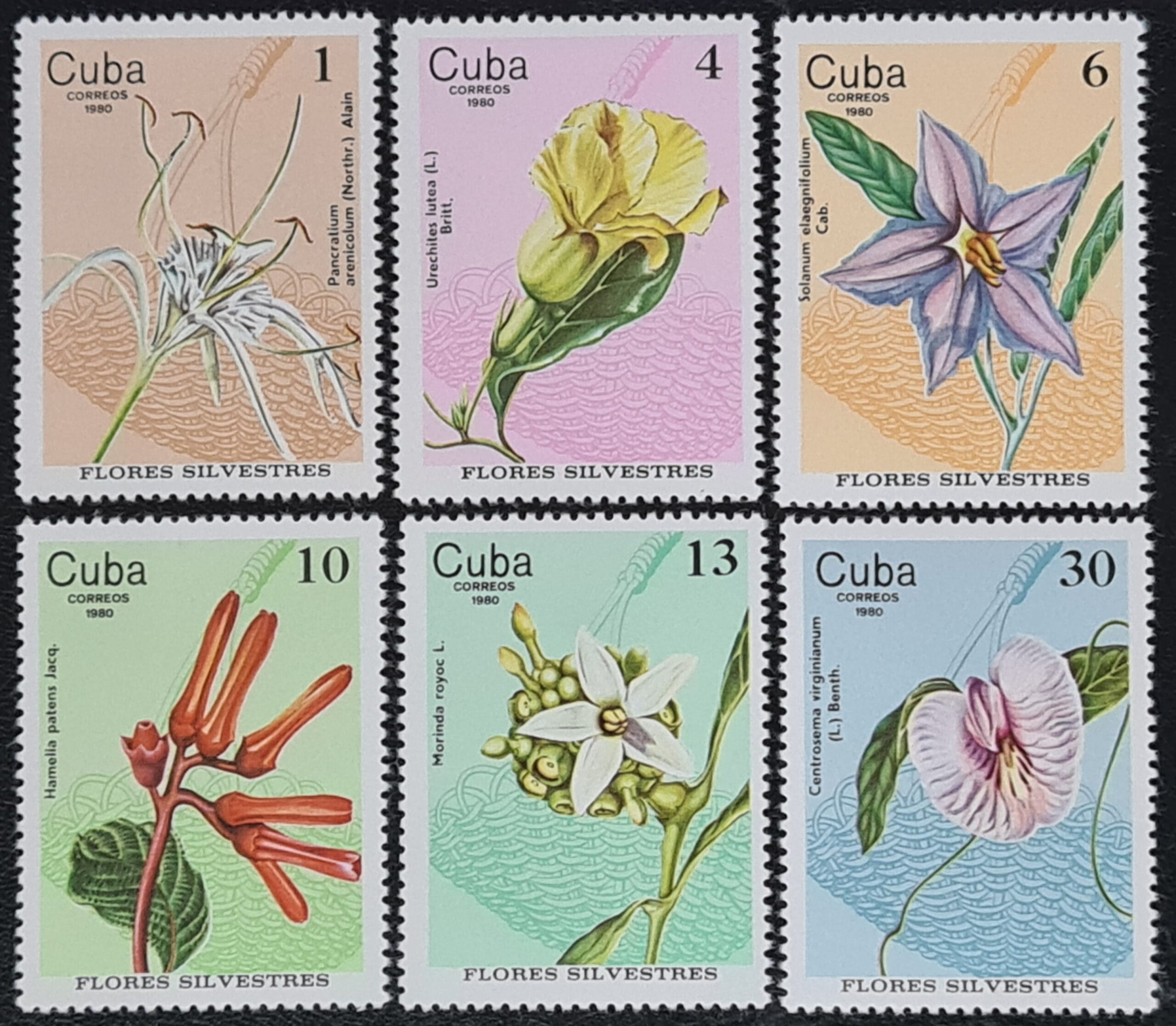 Cuba 1980 'Forest Flowers' SG2675-2680 Set of 6 MNH