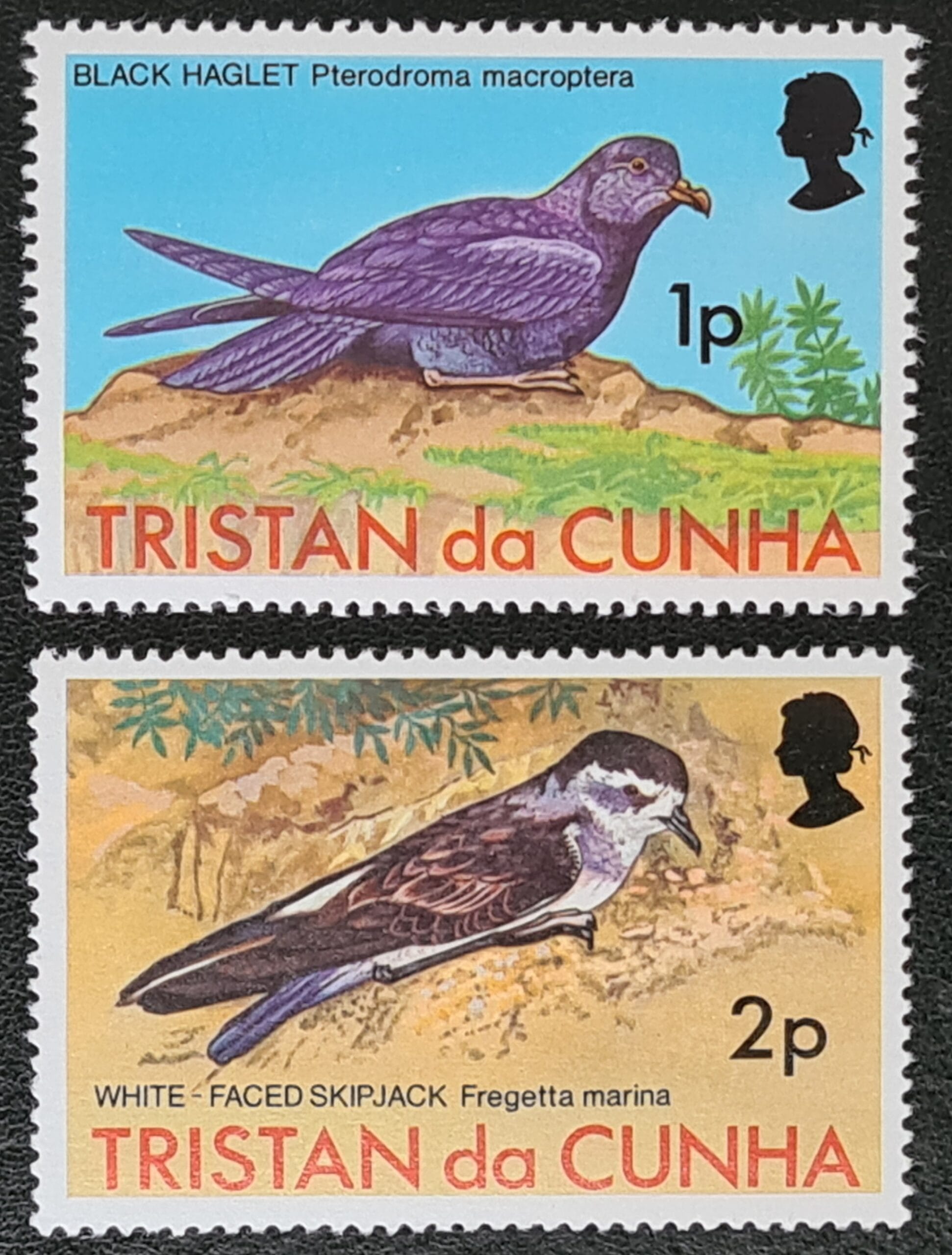 Tristan da Cunha 1977 "Birds" SG220/221 MNH